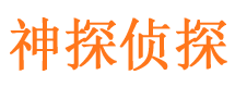 秦都市私家侦探